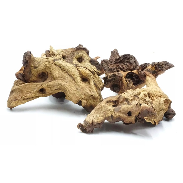 Decoratiune terariu, Bioterr, 10-20cm