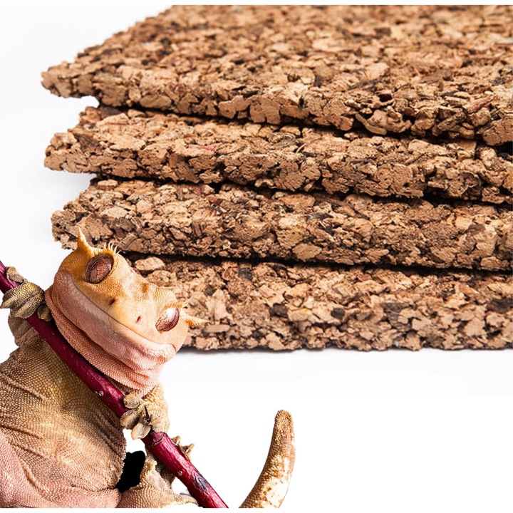 Decor natural pentru terrariu BIOTERR, fundal din granulat de pluta, 50x50x2cm