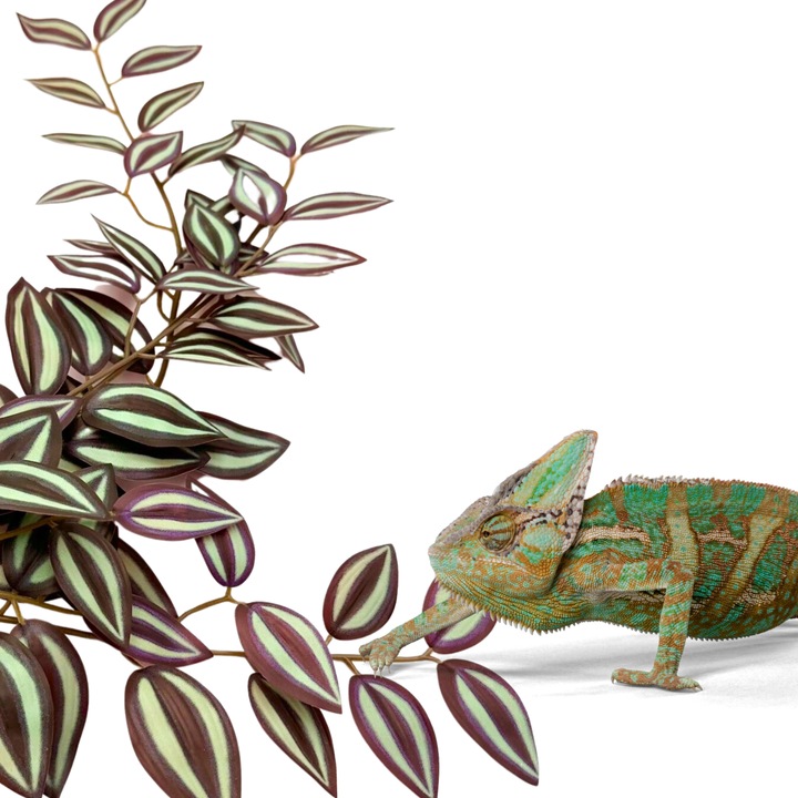 Planta artificiala tropicala BioBush No6, 50x30cm, purpurie, pentru terrarium