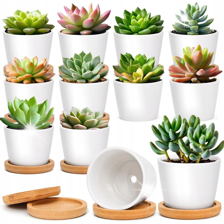 Комплект 12 керамични саксии за сукуленти с бамбукова поставка, 6,5x6,5x5см, бял