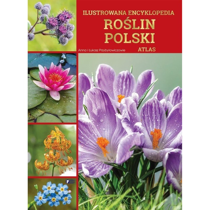Ilustrowana encyklopedia roślin Polski. Atlas, Fenix, 500 specii, 600 fotografii