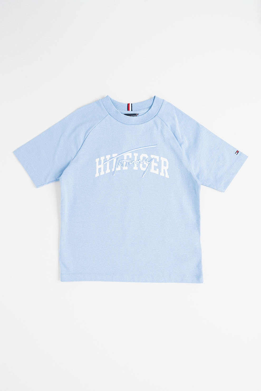 Tommy Hilfiger, Tricou cu decolteu la baza gatului si imprimeu, Alb, Albastru pastel, 152 CM