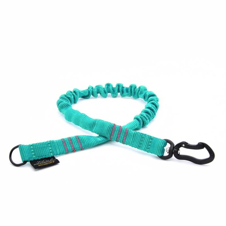Amortizor JoQu pentru caini mici, 2,0cm latime, 64cm lungime, culoare menta