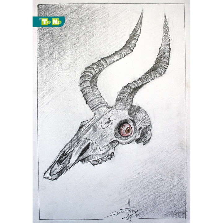 Caiet TeMe studențesc A4, eco-friendly, copertă brosată, 80 file, cusut, matematică, schelet craniu Impala