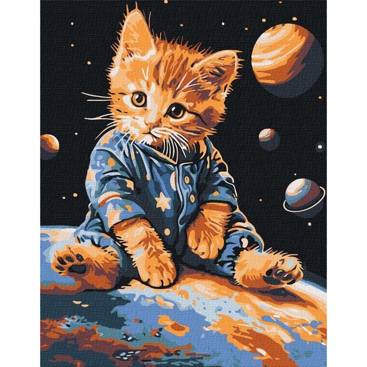 Set pictura pe numere, Ideyka, Pisica in spatiu, 30x40cm