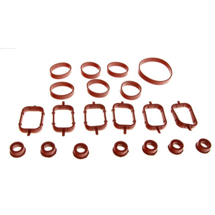 Kit garnituri colector admisie, DR. MOTOR, pentru BMW 5 2.5D/3.0D 00-, rosu