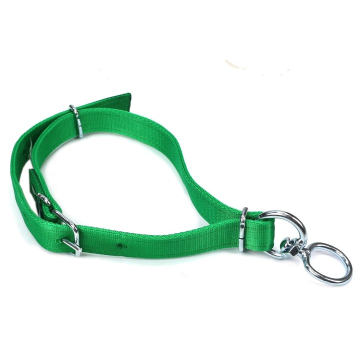 Zgarda pentru bovine, Royal Farm, 110cm x 3cm, reglabila, rezistenta la coroziune