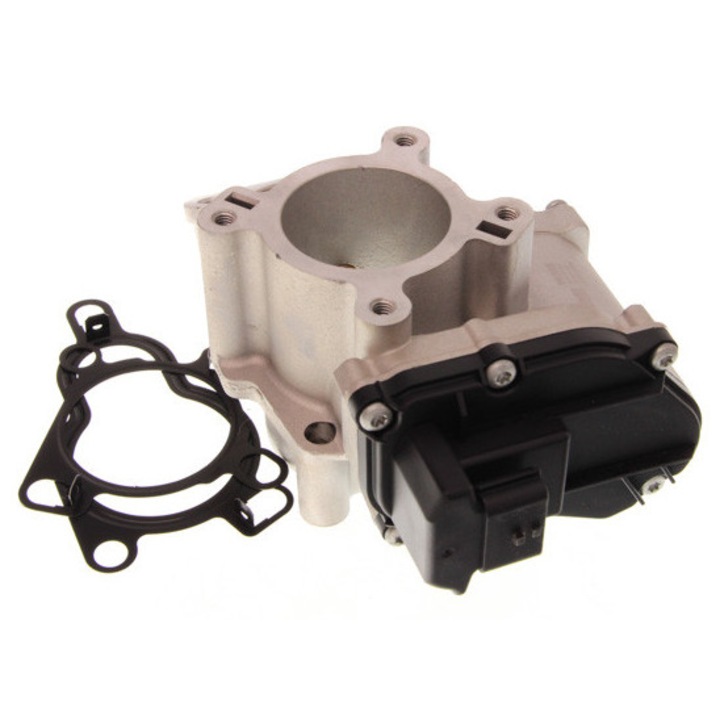 NISSENS EGR szelep Nissan 2,0DCI-hez