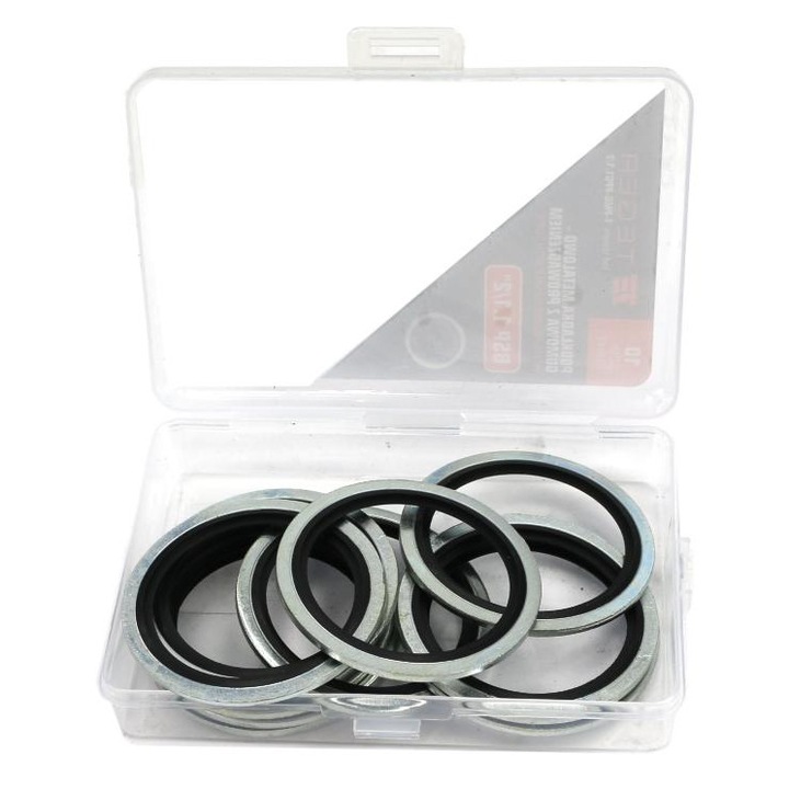 Saiba metal-guma BSP 1.1/2", set 10 bucati