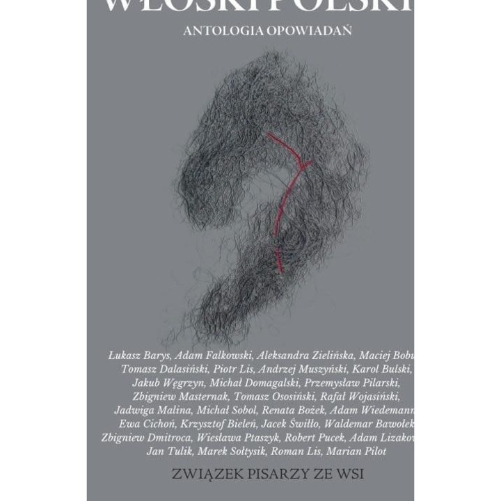 Wloski polskie, Fundacja Sasiedzi, antologie opowiadan, fictiune