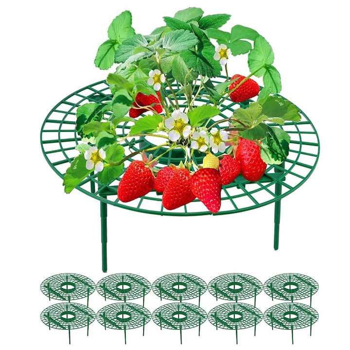 Suporturi pentru Capsuni ，Klenzo®， Set de 10 Suporturi pentru Plante de Gradina, verde