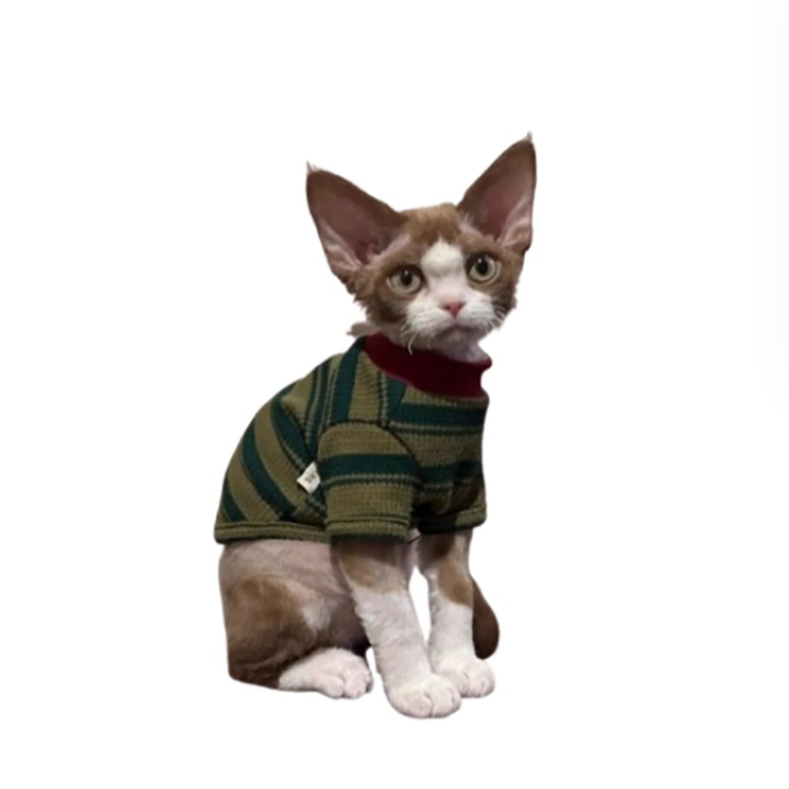 Imbracaminte pentru animale de companie, vesta fara maneci cu dungi, model nou 2026, potrivita pentru pisici si caini mici (Devon Rex, Bichon Frise), greutate 3-5 kg