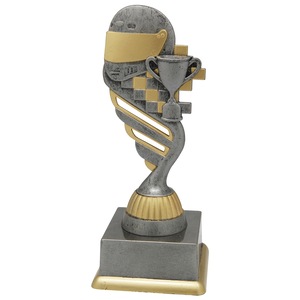 Cupe, trofee si medalii