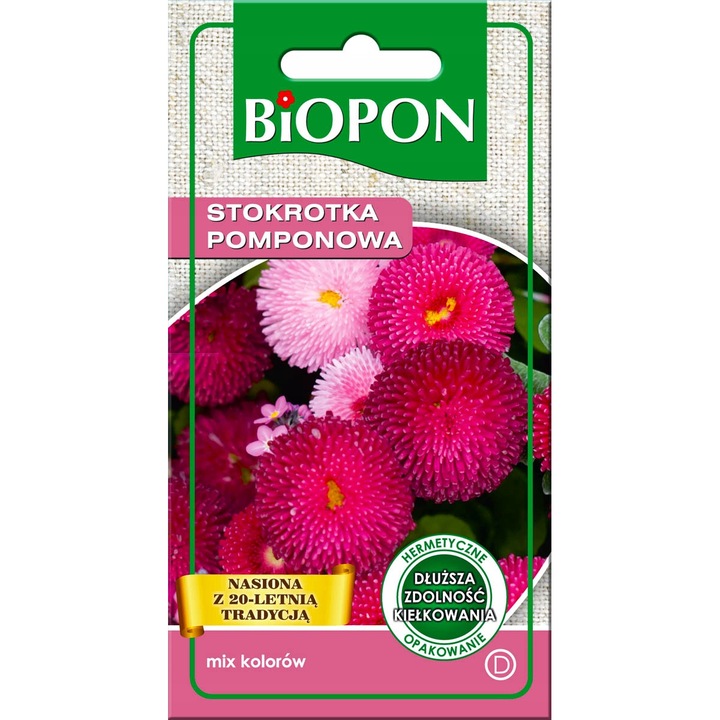 Seminte De Margarete Pompon, Biopon, Planta Bienala Cu Flori Mici Si Foarte Pline, Necesita Sol Fertil, Utilizare Pentru Rabate, Borduri, Flori Taiate, Ambalaj Etans Capacitate De Germinare Mai Lunga, Multicolor