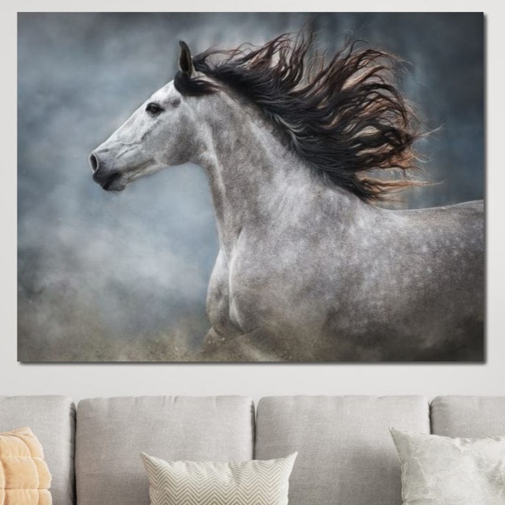 Tablou Canvas Premium, LuxCanva® M1353, Nobletea Norilor, 45 X 60 CM, Panza Bumbac 100% 400g/m2, Sasiu Lemn, Cal, Animal, Alb, Puritate, Miscare, Adiere, Spirit, Natura, Coama, Realist, Profil, Birou, Living, Camera Copil