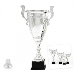 Cupe, trofee si medalii