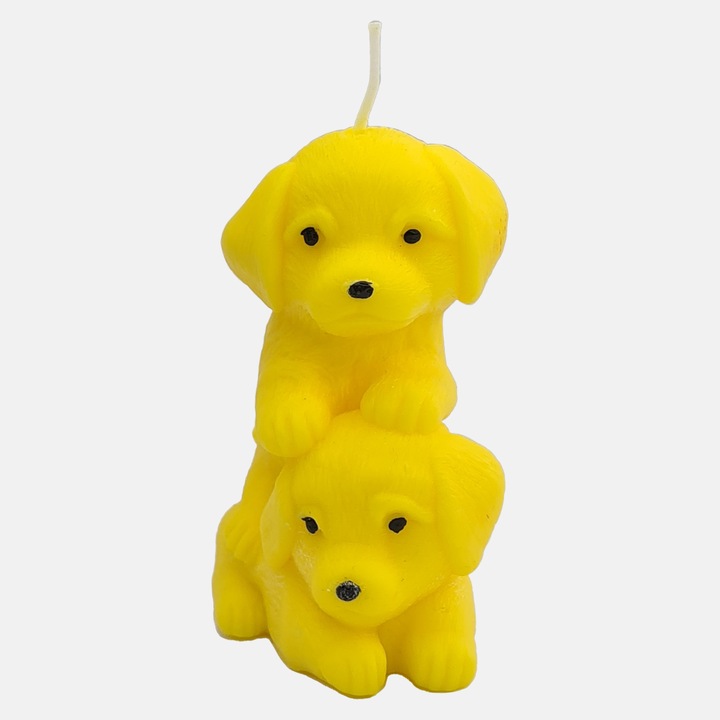 Dekoratív gyertya - szegfűszeg