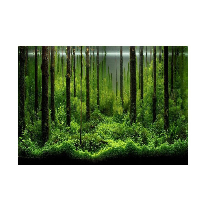 Poster decorativ autoadeziv pentru acvariu, fundal padure subacvatica, 122x46cm, PVC