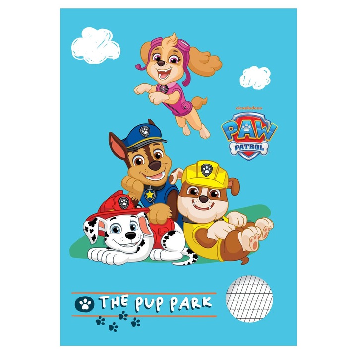 Caiet A5 20 file Paw Patrol, tip 1, multicolor