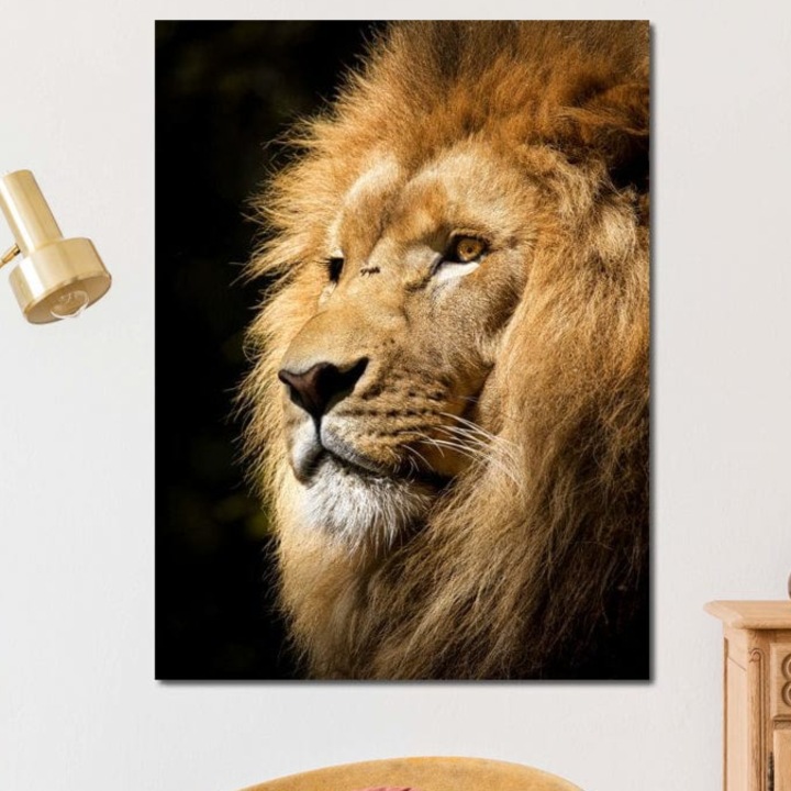 Премиум картина върху платно, LuxCanva® M1367, Императорски чар, 45 X 60 см, 100% памучно платно 400 г/м2, дървена рамка, Лъв, Животно, Крал, Величие, Мъдрост, Сила, Светлина, Профил, Портрет, Визия, Уважение, Офис, Хол, Детска стая