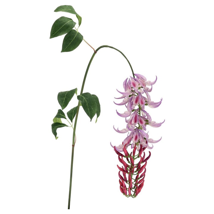 6 db-os művirág szett lila zöld Mucuna 142h