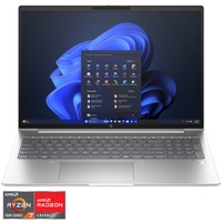 Laptop HP ProBook 465 G11 cu AMD Ryzen 7 7735U pana la 4.7GHz, 16", WUXGA, IPS, 16GB DDR5 RAM, 1TB SSD, AMD Radeon 660M Graphics, Windows 11 Pro, Pike silver