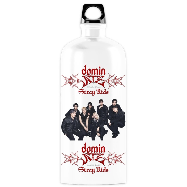 Recipient personalizat stray kids kpop domin, metal-inox, 500 ml