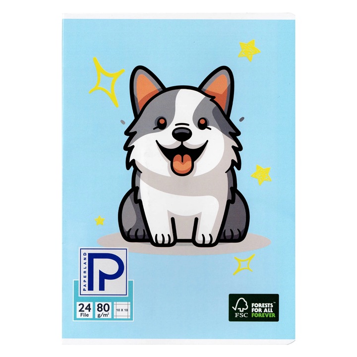 5 darabos A5-ös jegyzetfüzetkészlet, kezdőknek, 24 lap, PAPERLAND nagy négyzetek