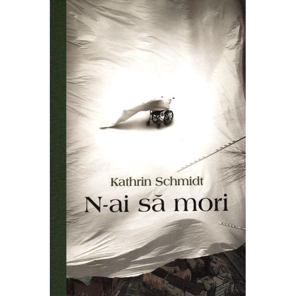 N-ai sa mori - Kathrin Schmidt