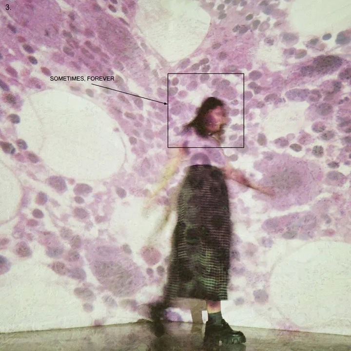 Soccer Mommy: Sometimes. Forever [CD]