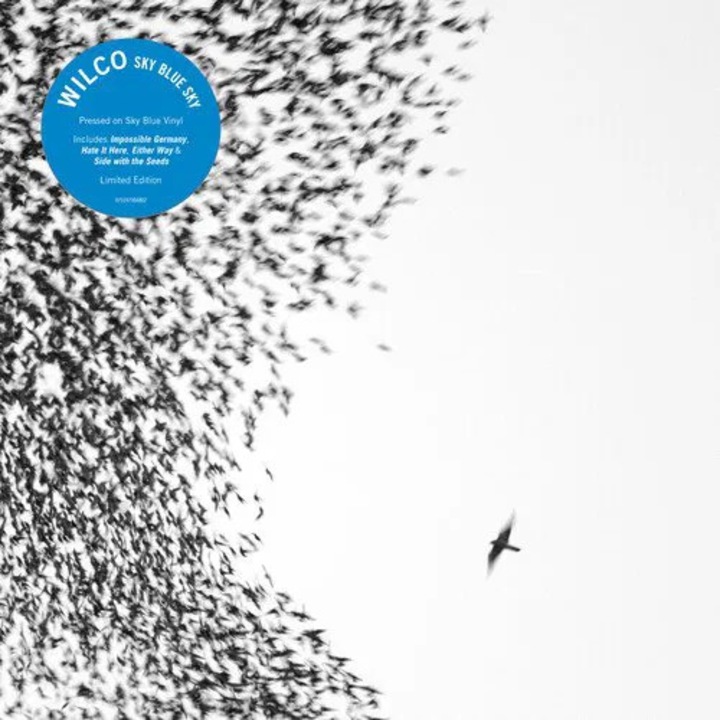 Wilco: Sky Blue Sky (Vinil Colorat Albastru) - Set 2Vinil (LP)
