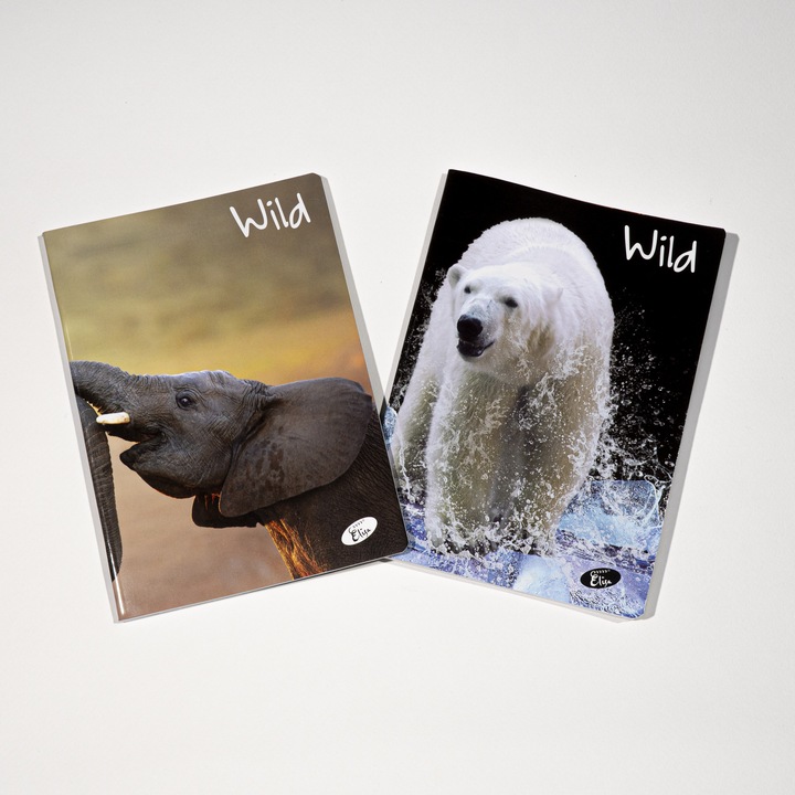 A5-ös jegyzetfüzet, 48 lap, 80 g/m², 300 g/m² kartonborítás, vad dizájn - matematika