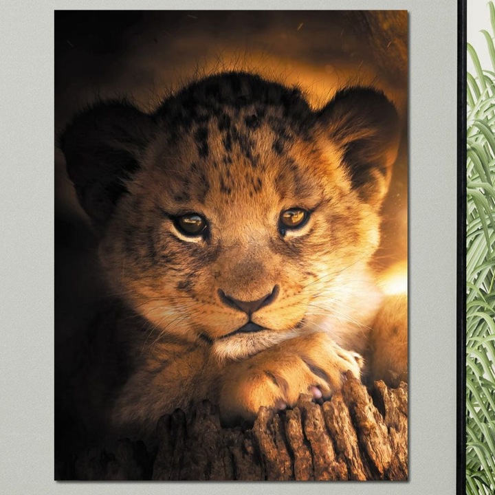 Tablou Canvas Premium, LuxCanva® M1377, Micul Rege, 90 X 120 CM, Panza Bumbac 100% 400g/m2, Sasiu Lemn, Mostenitor, Dinastie, Pui, Leu, Inocenta, Copilarie, Portret, Lumina, Rasarit, Birou, Living, Camera Copil