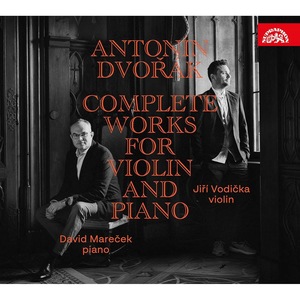 Vinyl-uri si cd-uri muzica