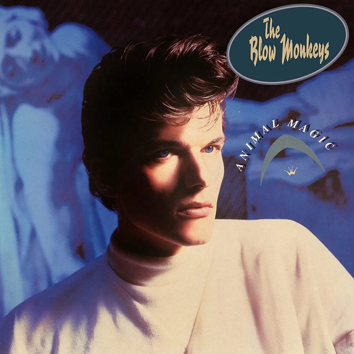 Blow Monkeys: Animal Magic - 4CD, pop, 4 discuri, calitate superioara