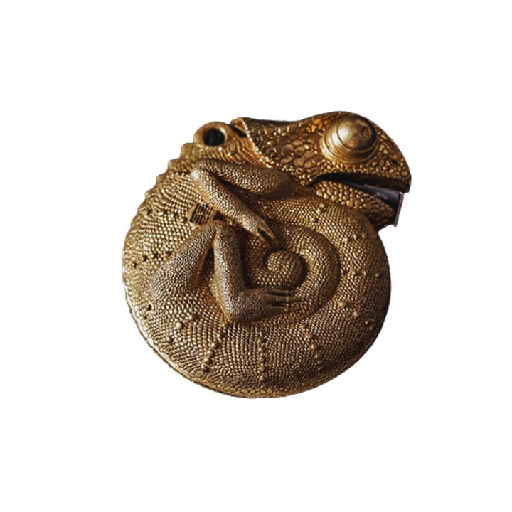 Ruleta Chameleon, 2m, 4.7x4x1.8cm, cu suport pentru agatat, unelte de masurare portabile