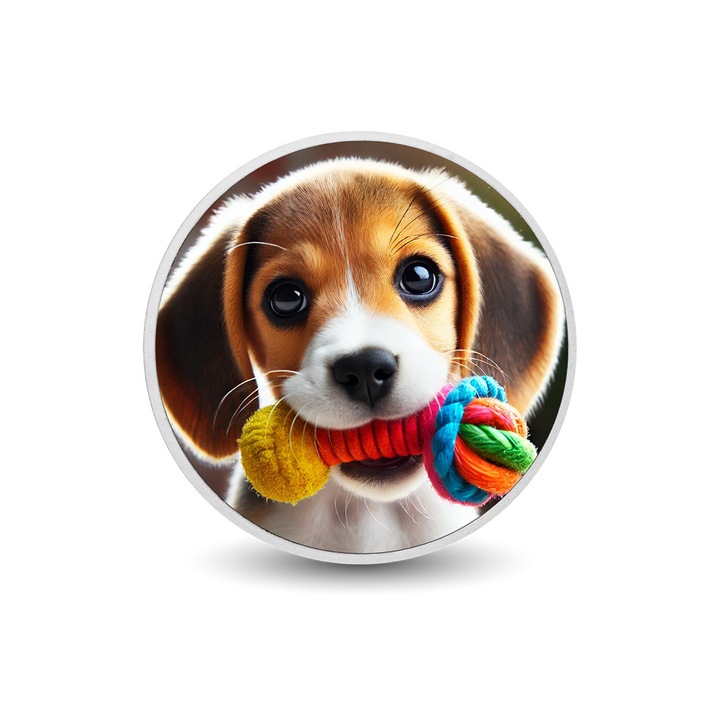 Moneda Beagle Tug-of-War Champion, argint, 300 exemplare, cutie cadou