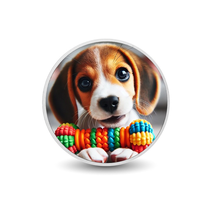 Moneda argint de colectie Beagle, Arverni Mint, cutie cadou, certificat de autenticitate