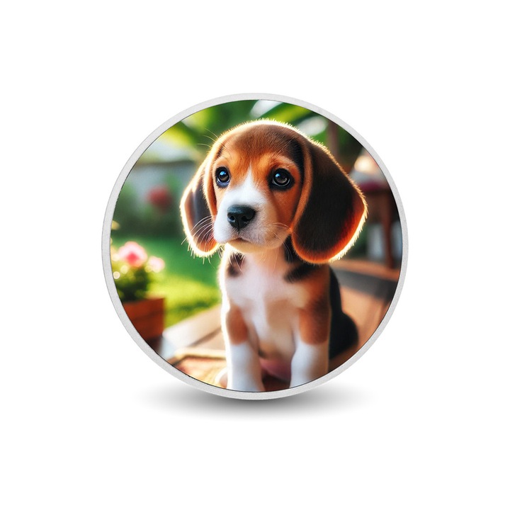 Moneda colorata din argint Curious Beagle, Arverni Mint, editie limitata, prezentare in cutie cadou