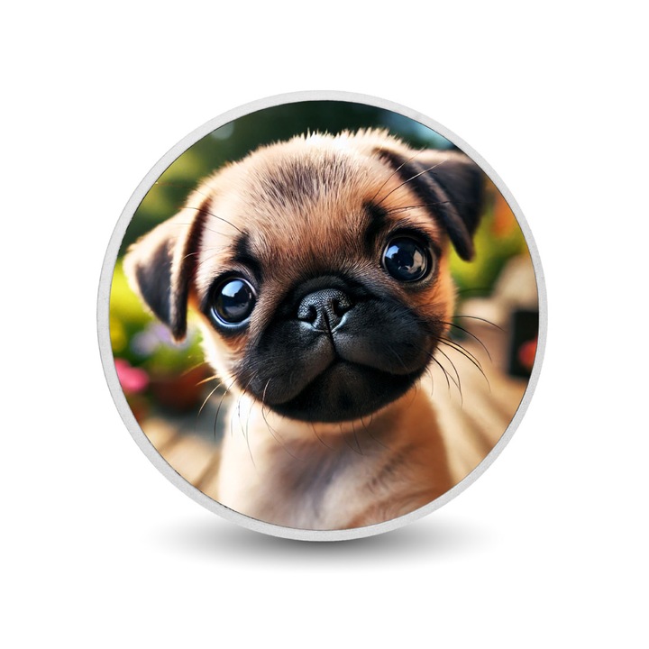 Moneda colorata din argint - Sweet Pug Gaze, Arverni Mint, 1 uncie, cutie cadou, certificat de autenticitate