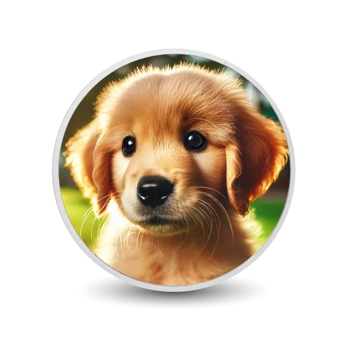 Moneda de colectie Golden Puppy Glow Retriever Series, argint - Arverni Mint