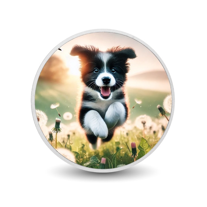 Moneda de argint colorata - Leap of Happines, cutie cadou - Arverni Mint