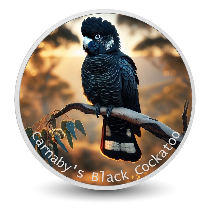 1 unciás ezüst emlékérme, Carnaby fekete kakaduja, Arverni Mint, élénk design, többszínű