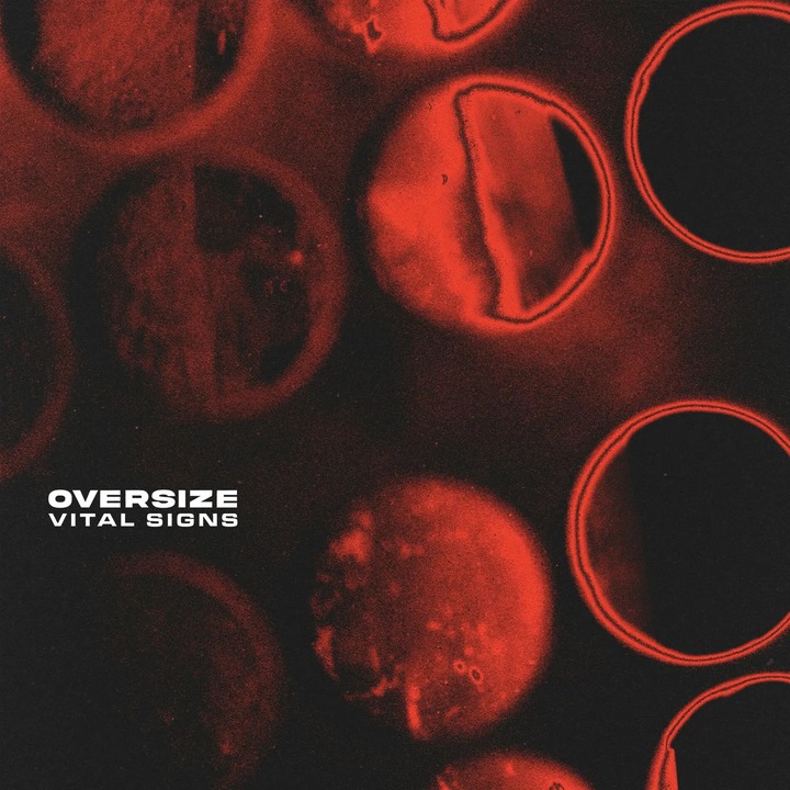 Oversize: Vital Signs - CD WARNER