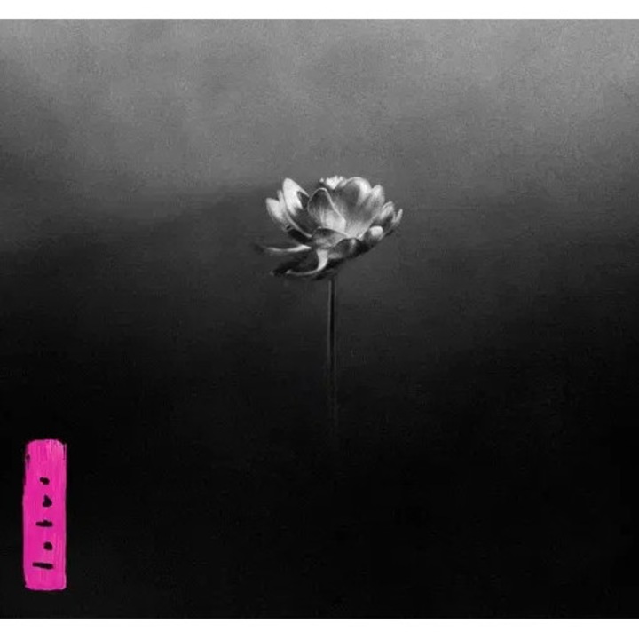 Little Simz: Lotus - CD, hip hop, 1 disc