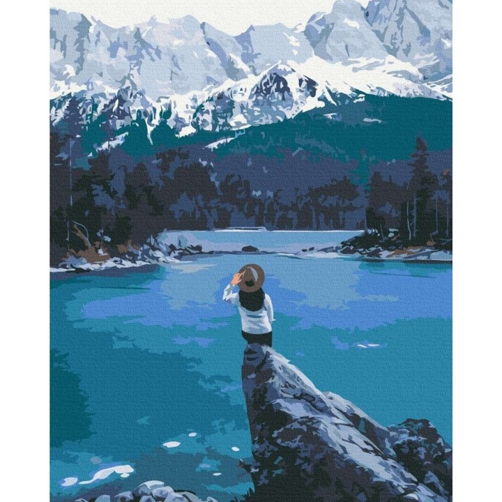 Set pictura pe numere TWOJE HOBBY, 40x50cm, 3 pensule, culori acrilice