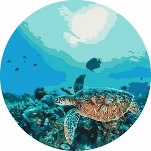 Seturi pictura si desen