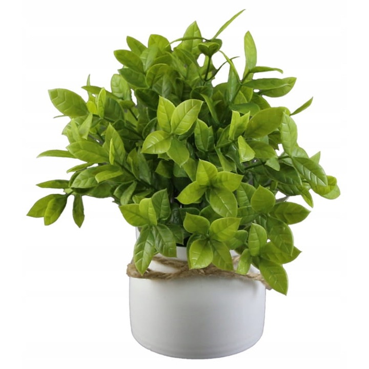 Koompan műnövény cserépben, 20 cm, zöld, kerámia, dekoratív, 1 darabos szett