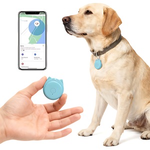 Supraveghere si garduri invizibile