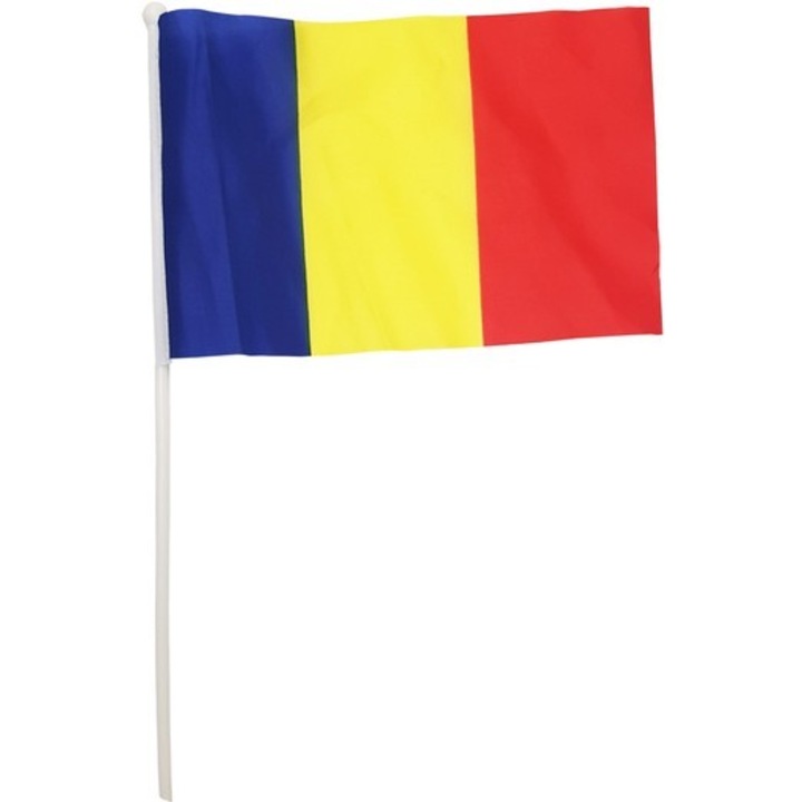 Set 12 Steaguri de Mână Tricolor, Cyrax, 20x30cm